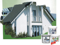 Farben, Lacke und Lösemittel